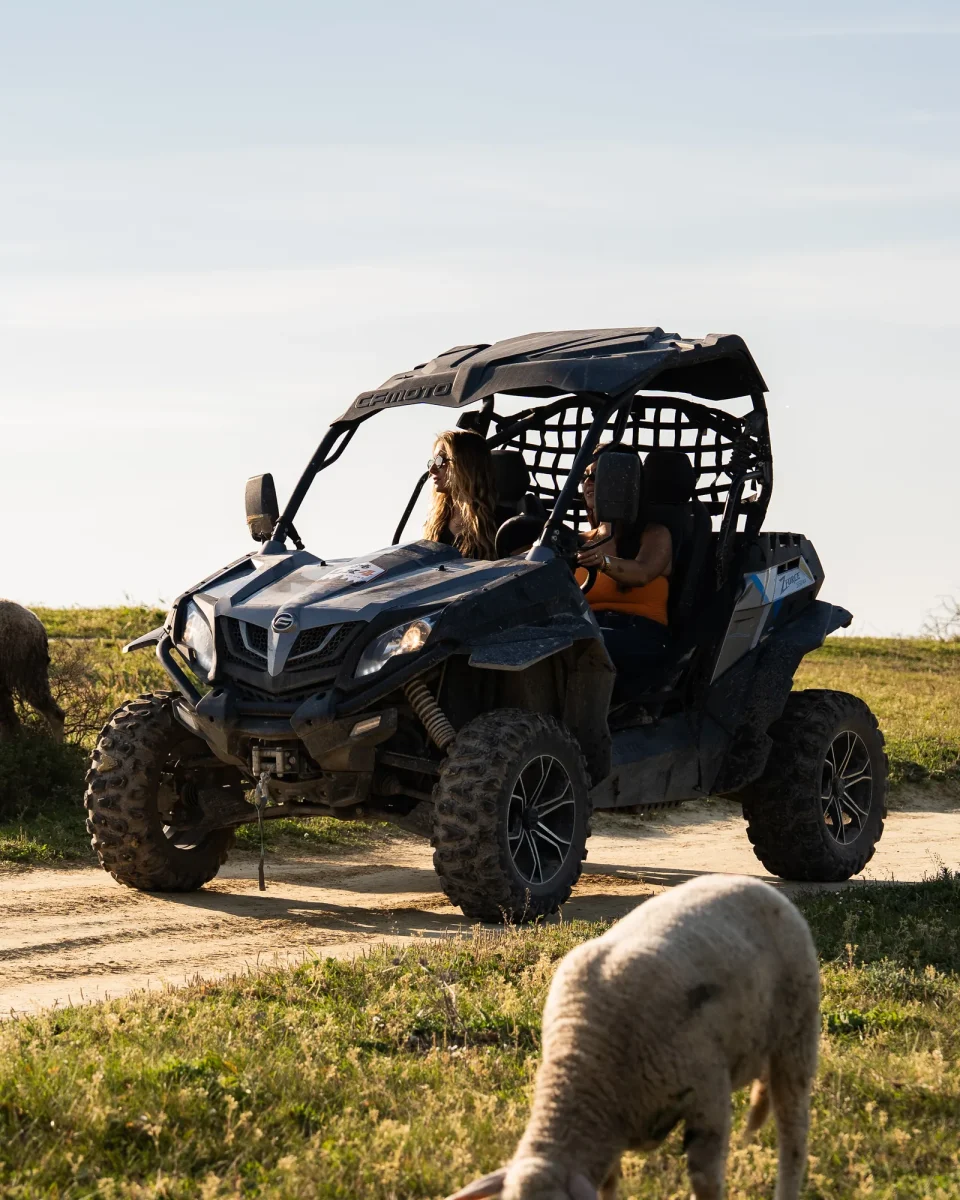 Buggy Expedition