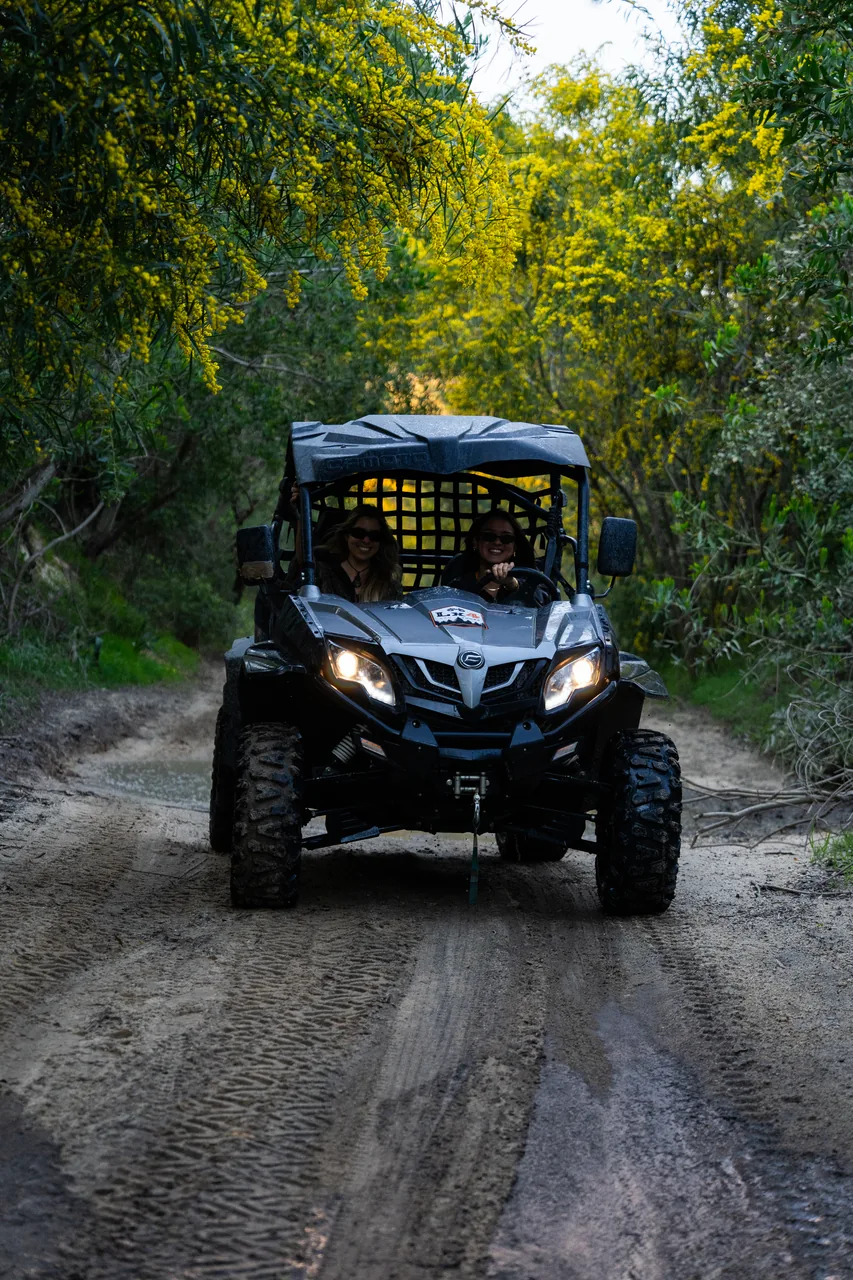 Buggy on a lush forest trail with headlights on
