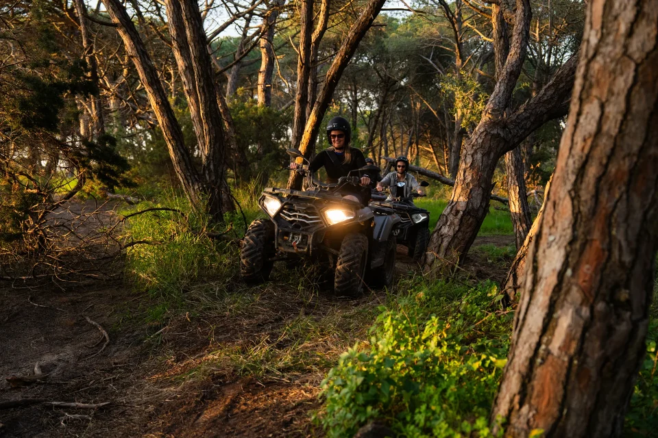 Quad riding a pine forest trail at golden hour with headlights on