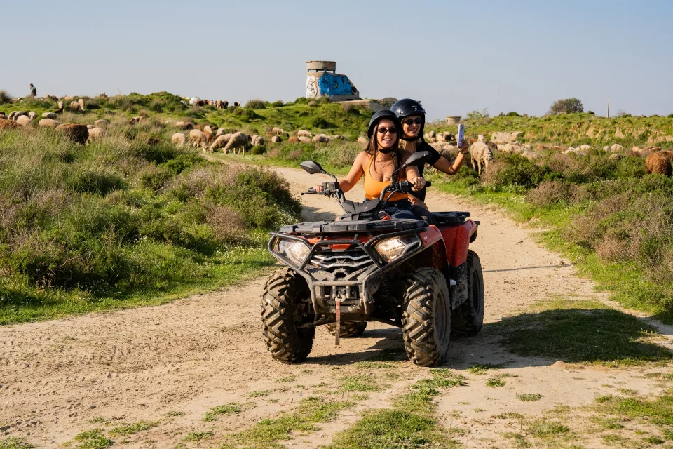 Riders on a quad passing grazing sheep in Costa da Caparica